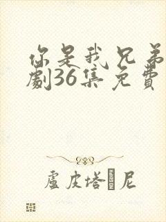 你是我兄弟电视剧36集免费看