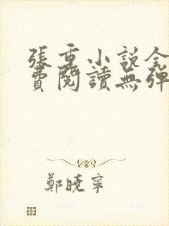 张重小说全文免费阅读无弹窗