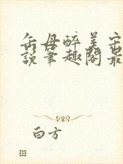 缶母醉美宋城小说笔趣阁最新章节更