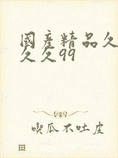 国产精品久久久久久99