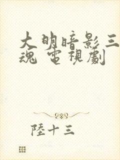 大明暗影三百忠魂 电视剧