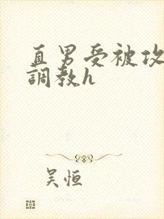 直男受被攻下药调教h