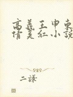 高义王申东子孙倩美红小说全文免费封面
