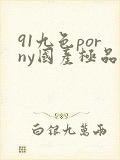 91九色porny国产极品