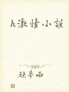 h激情小说封面