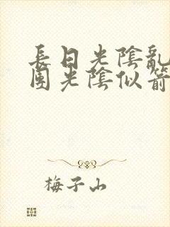 长日光阴乱作一团光阴似箭时渺封面