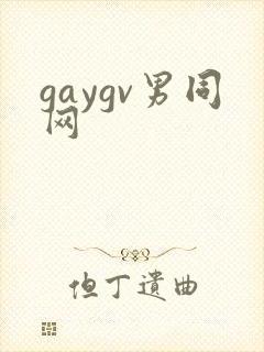 gaygv男同网