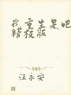 我重生是吧程逐精校版