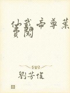 仙武帝尊叶辰免费阅