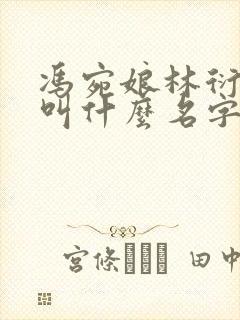 冯宛娘林衍小说叫什么名字