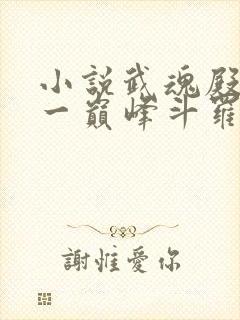 小说武魂殿之第一巅峰斗罗