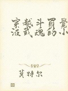 穿越斗罗觉醒血液武魂的小说