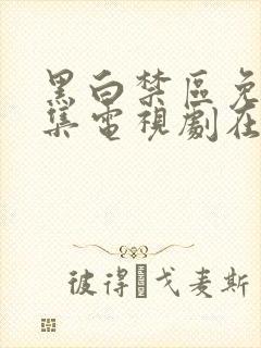 黑白禁区免费全集电视剧在线观看