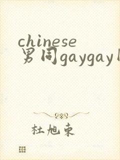 chinese男同gaygay网站