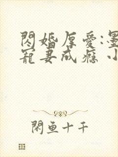 闪婚厚爱:墨少宠妻成瘾 小说封面