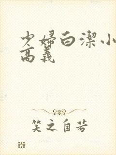 少妇白洁小说 高义