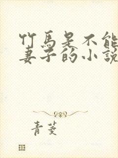 竹马是不能成为妻子的小说免费阅读封面