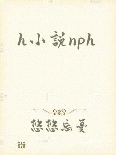 h小说nph