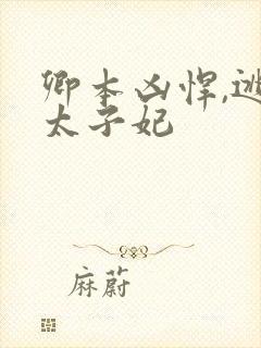 卿本凶悍,逃嫁太子妃