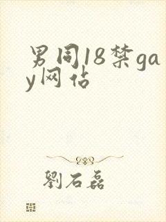 男同18禁gay网站封面