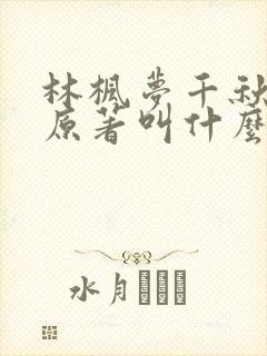 林枫梦千秋小说原著叫什么封面