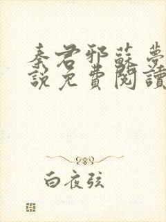 秦君邪苏梦安小说免费阅读全文封面