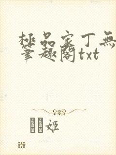 极品家丁无删节笔趣阁txt