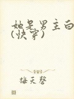 她是男主白月光(快穿)封面