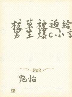 校草被迫给全班男生爆c小说