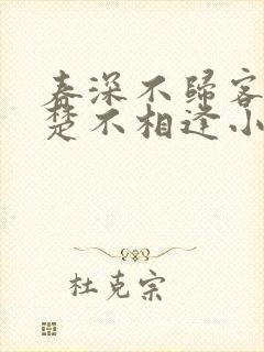 春深不归客,清楚不相逢小说