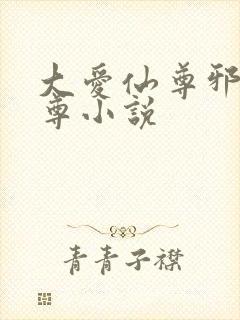 大爱仙尊邪魔淫尊小说封面