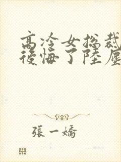 高冷女总裁离婚后悔了陆尘完整版