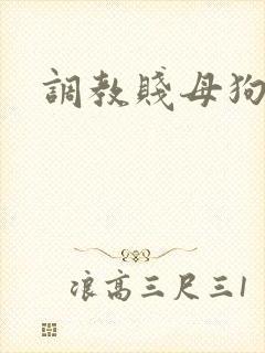 调教贱母狗高h