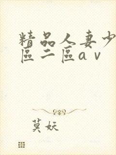 精品人妻少妇一区二区aⅴ