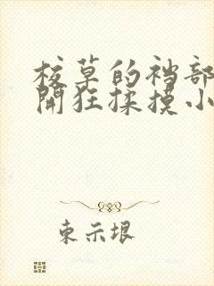 校草的裆部被扒开狂揉摸小说