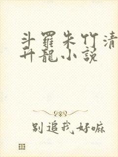 斗罗朱竹清被迫升龙小说