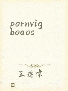 pornvigboaos封面