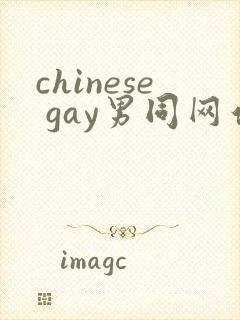 chinese gay男同网站