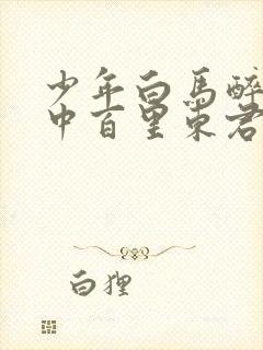 少年白马醉春风中百里东君结局封面