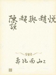 陈超与赵悦的小说