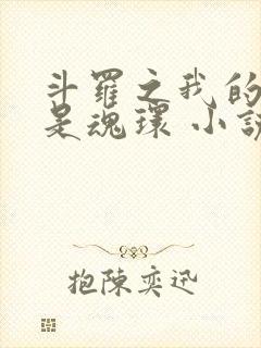 斗罗之我的武魂是魂环 小说