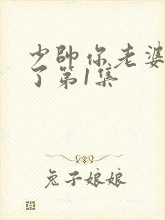 少帅你老婆又跑了第1集