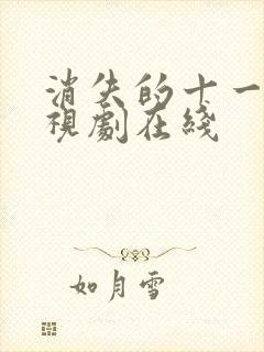 消失的十一层电视剧在线封面