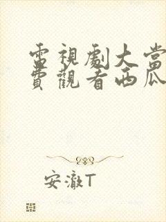 电视剧大当家免费观看西瓜