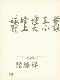 嫁给傻王爷后被宠上天小说阅读