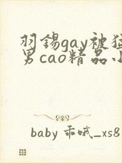 羽锡gay被猛男cao精品小说封面