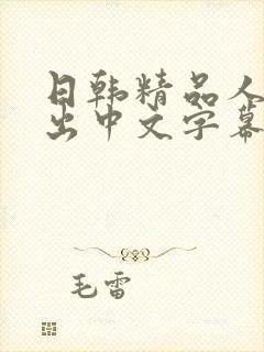 日韩精品人妻中出中文字幕