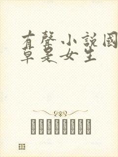 有声小说国民校草是女生封面