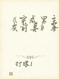 《穿成男主的炮灰前妻》华阙阙