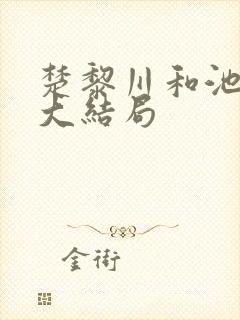楚黎川和池恩宁大结局封面